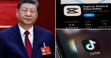 FBI warns some foreign apps could collect Americansâ data â even if you never download them